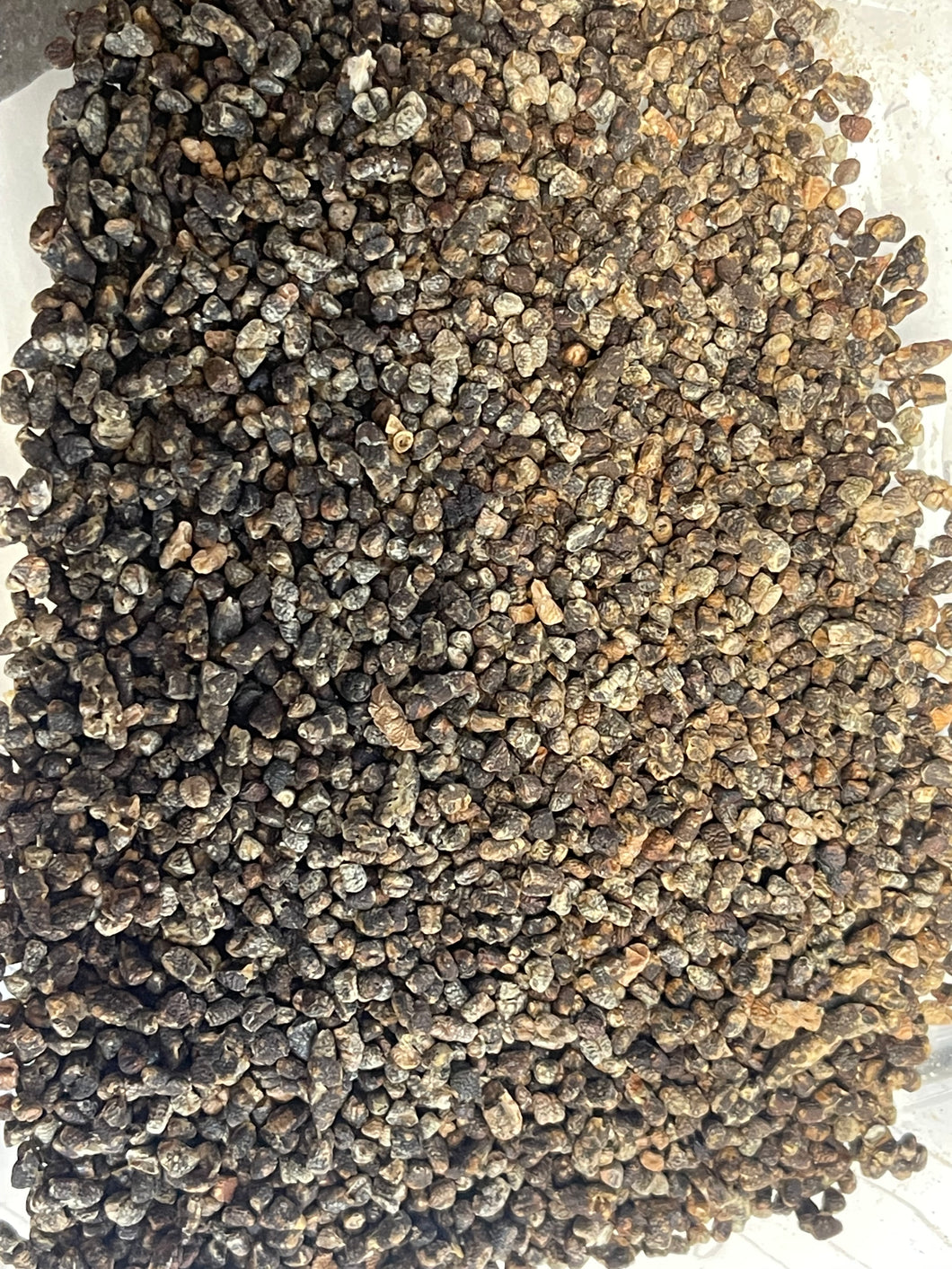 Whole Cardamom Seeds | Organic | By the Ounce