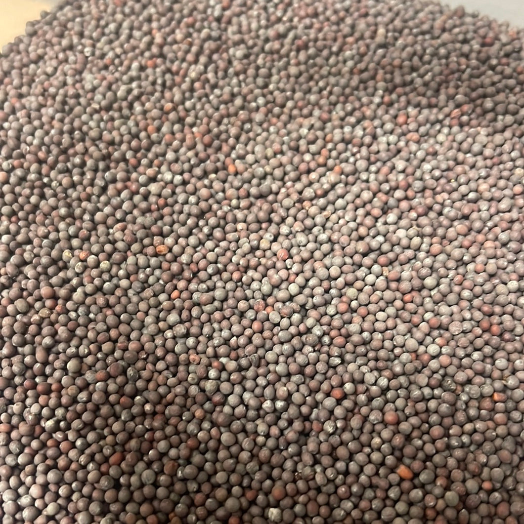 Mustard Seeds | Yellow or Brown | Organic | By the Ounce